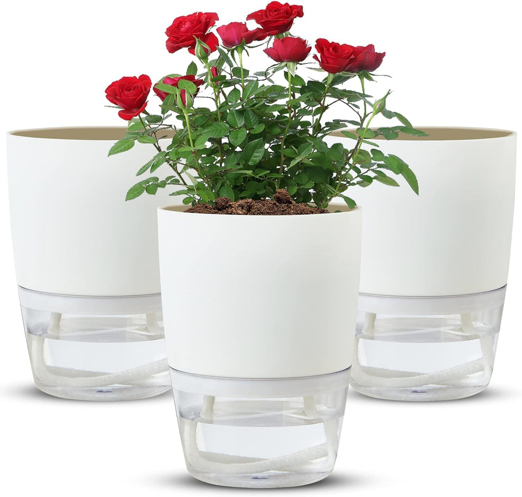 Self Watering Plant Pot