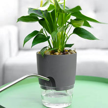 Load image into Gallery viewer, Self Watering Plant Pot
