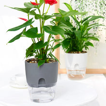 Load image into Gallery viewer, Self Watering Plant Pot
